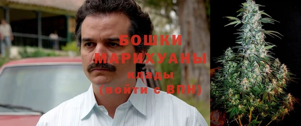 экстази Гусь-Хрустальный