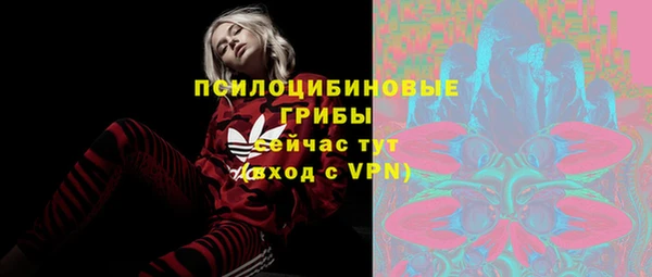 экстази Гусь-Хрустальный