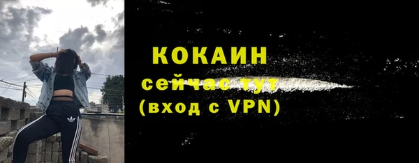 экстази Гусь-Хрустальный