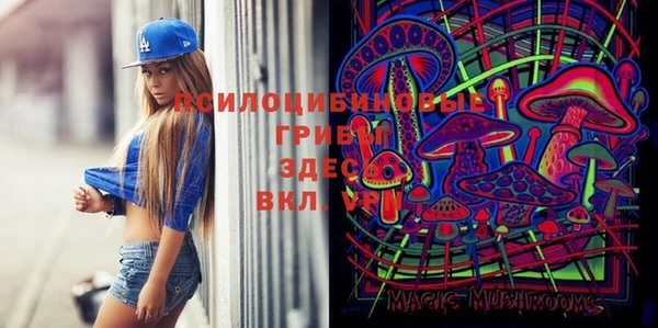 прущая мука Гусев