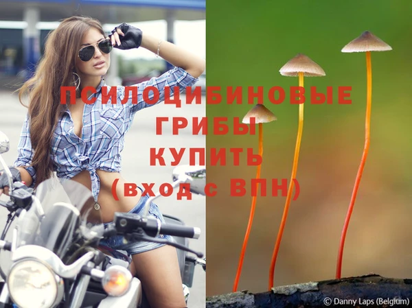 прущая мука Гусев