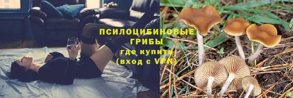 прущая мука Гусев