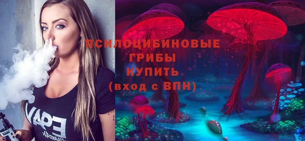 прущая мука Гусев