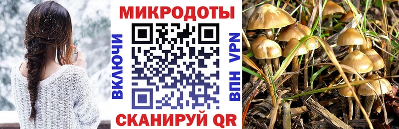 Псилоцибиновые грибы Magic Shrooms  Купить где  Карачаевск 