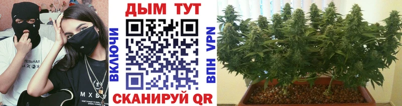 Шишки марихуана Ganja Купить Карачаевск